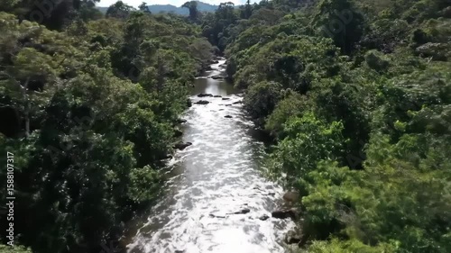 Lush river winding through dense jungle