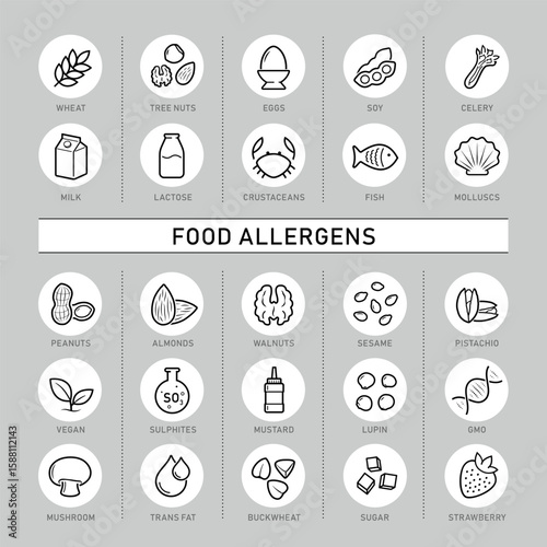 Food allergens set icon. Icons designed to represent the major food allergens clearly and effectively. The outline icons are well scalable and editable, good for different backgrounds. EPS10.