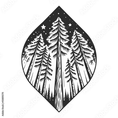 Forest under stars showcases tall trees reaching toward night sky. Forest under stars is etched with fine lines, stars shine above towering trees. This forest under stars image evokes tranquility.