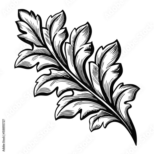Hand carved leaf pattern with detailed foliage in black and white, suitable for engraving projects. Hand carved leaf pattern presents intricate details of botanical element.