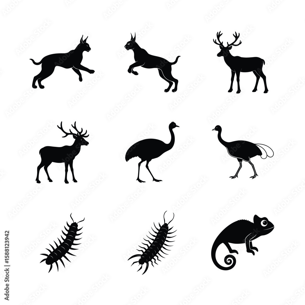 Fototapeta premium vector silhouettes of animals