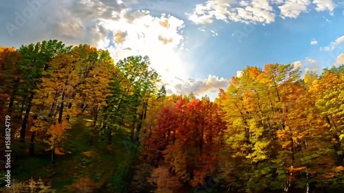 A breathtaking landscape of autumn trees in vivid colors under dramatic sunlight and scattered clouds, capturing the seasonal beauty and tranquility of fall in the wilderness.