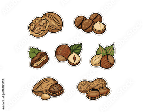 Nuts and seeds displayed with different Doodle-style icons. Featuring walnuts, macadamia nuts, hazelnuts, and peanuts against a white background.
