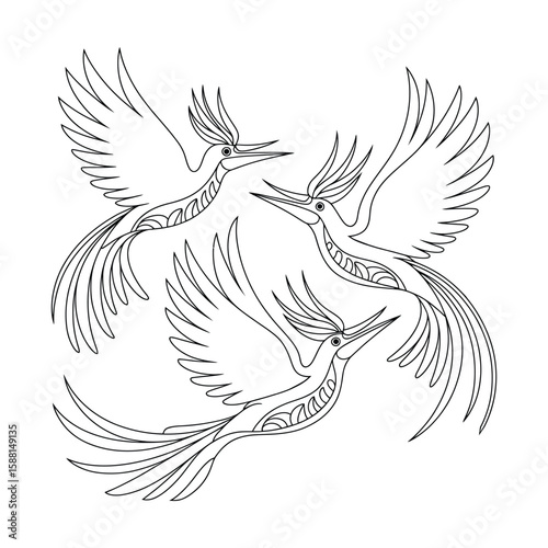 Birds of Paradise dancing Coloring Page, Vector, Illustration, Icon, Outline, Line Art, Silhouette, White Background.