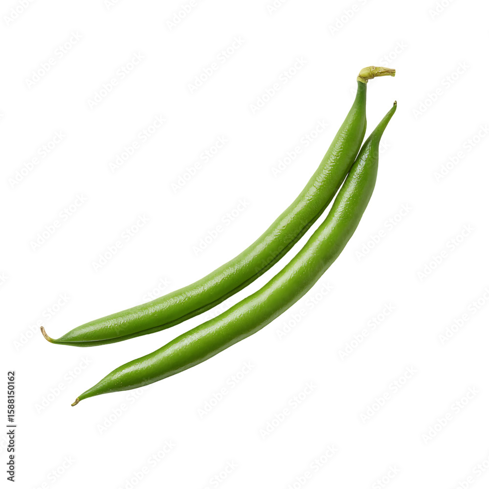 Single green bean curves gracefully, its vibrant color and smooth skin highlighting its freshness and potential for culinary delights isolated on white background or transparent background 47837920 1 Single green bean curves gracefully, its vibrant color and smooth skin highlighting its freshness and potential for culinary delights isolated on white background or transparent background 47837920 1