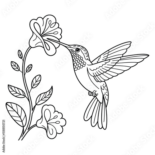 Hummingbird feeding on exotic plant Coloring Page, Vector, Illustration, Icon, Outline, Line Art, Silhouette, White Background.