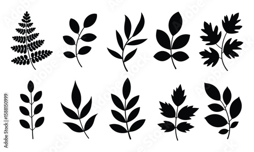 Minimalist Black Leaf Silhouettes: Nature-Inspired Botanical Design Elements