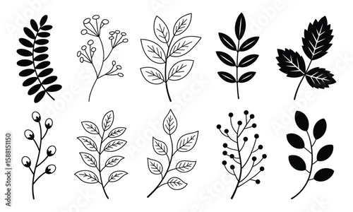 Floral Leaf Line Art: Botanical Hand-Drawn Elements for Nature and Decor

