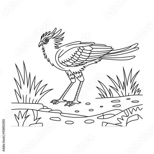 Secretary Bird hunting Coloring Page, Vector, Illustration, Icon, Outline, Line Art, Silhouette, White Background.