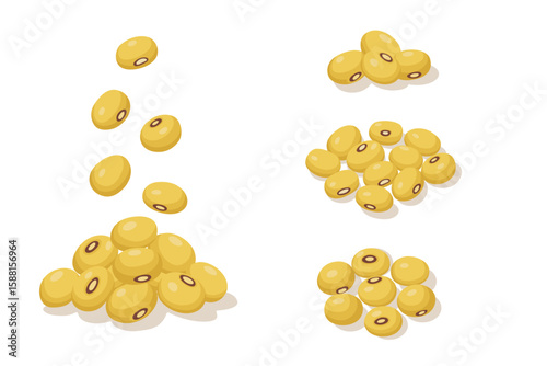 set of Soybean vector logo isolated on white background.	
