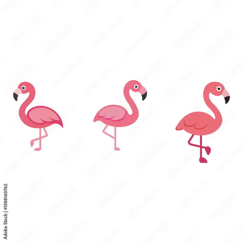 Obraz premium cute vector flat colour flamingos in different pos set bundle