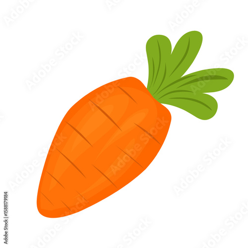 Cartoon style carrot vegetable illustration. Hand-drawn carrot vegetable illustration. Flat design carrot vegetable illustration. Vector illustration of carrot vegetable 