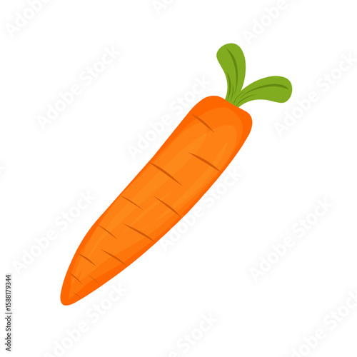 Cartoon style carrot vegetable illustration. Hand-drawn carrot vegetable illustration. Flat design carrot vegetable illustration. Vector illustration of carrot vegetable 
