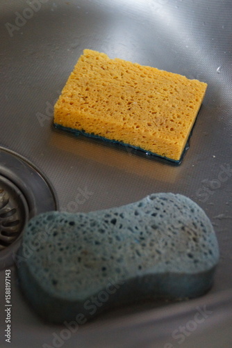 Two sponges lie side by side on a neutral surface, showcasing their contrasting textures and vibrant colors. 