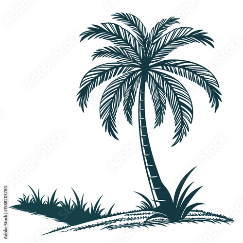 Tropical Palm Tree Standing Tall on Sandy Ground with Green Grass