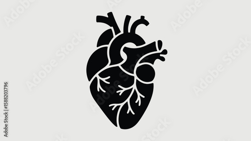 Anatomical heart illustration in black provides a graphic symbol for medicine, cardiology, or biological science projects.