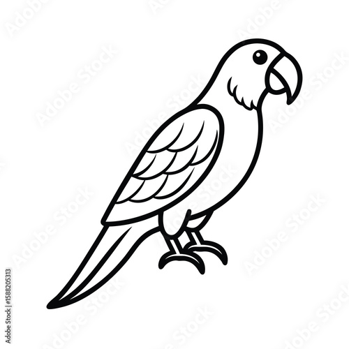 parrot illustration tropical bird design carton