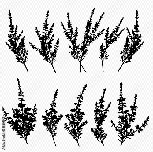 A collection of ten silhouetted heather sprigs, each displaying varying sizes, shapes, and densities of the flowering plant.