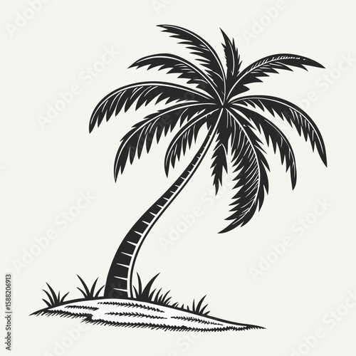 Elegant Silhouette of a Tropical Palm Tree on a Sandy Mound