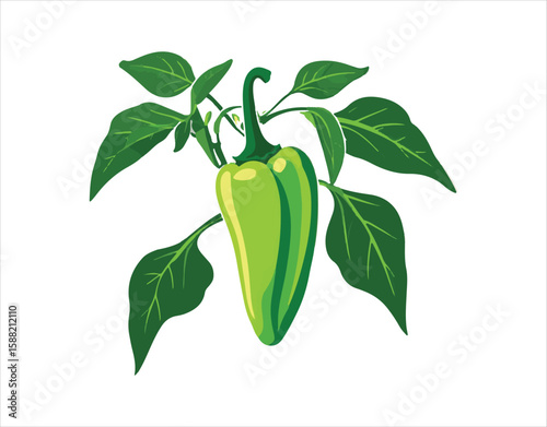 spice on the plant
