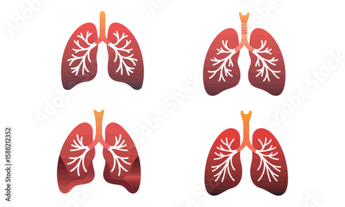 Vector illustration of human lungs anatomy with bronchial tree in medical color style
