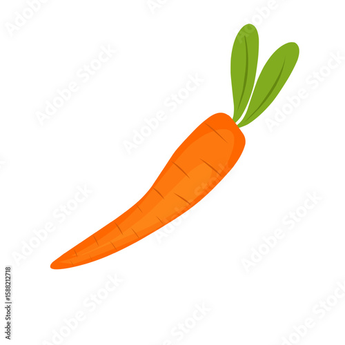 Cartoon style carrot vegetable illustration. Hand-drawn carrot vegetable illustration. Flat design carrot vegetable illustration. Vector illustration of carrot vegetable 