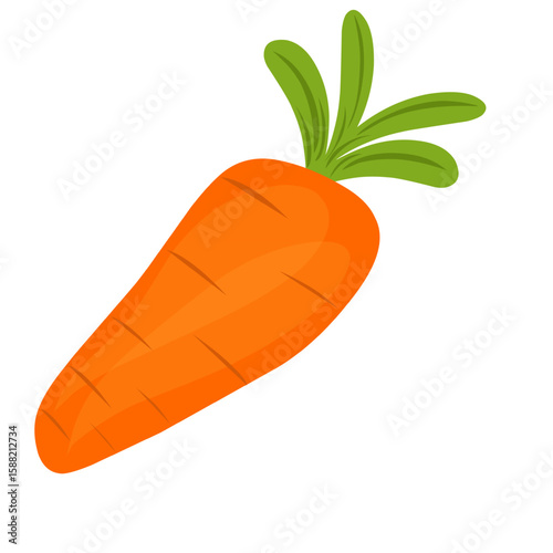 Cartoon style carrot vegetable illustration. Hand-drawn carrot vegetable illustration. Flat design carrot vegetable illustration. Vector illustration of carrot vegetable 