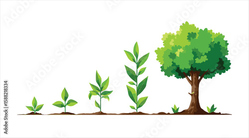 Plant growth phases. Infographic about planting trees. Concept of evolution. Icons for sprout, plant, and tree growth in agriculture. Vector illustration in a flat style.