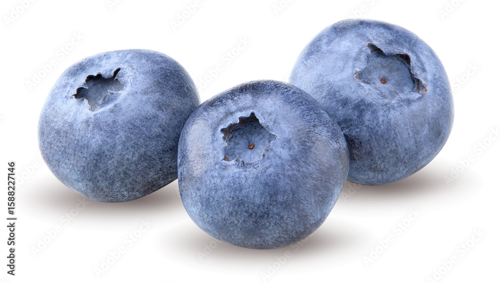 Obraz premium blueberries isolated on white background. clipping path
