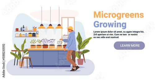 Microgreens growing indoor gardening man tending plants modern kitchen potted seedlings under lamps houseplants shelves flat website banner