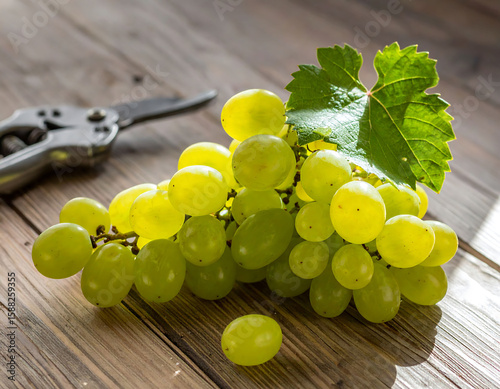 Fresh, juicy green grapes with a leaf and pruning shears on a rustic wooden surface. Great for healthy eating, agriculture, or winemaking content.