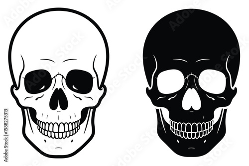 White and Black Skull Illustrations Side by Side human skull
