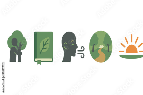 Mindfulness practice in nature promotes relaxation and well-being during early morning hours