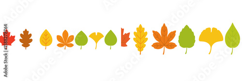 Colorful autumn leaves in various shapes arranged in a decorative line on a white background for seasonal decor