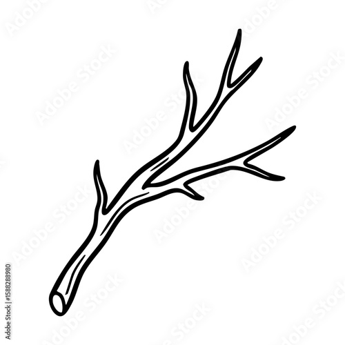 Black and white line drawing of a leafless branch hand drawing vector illustration