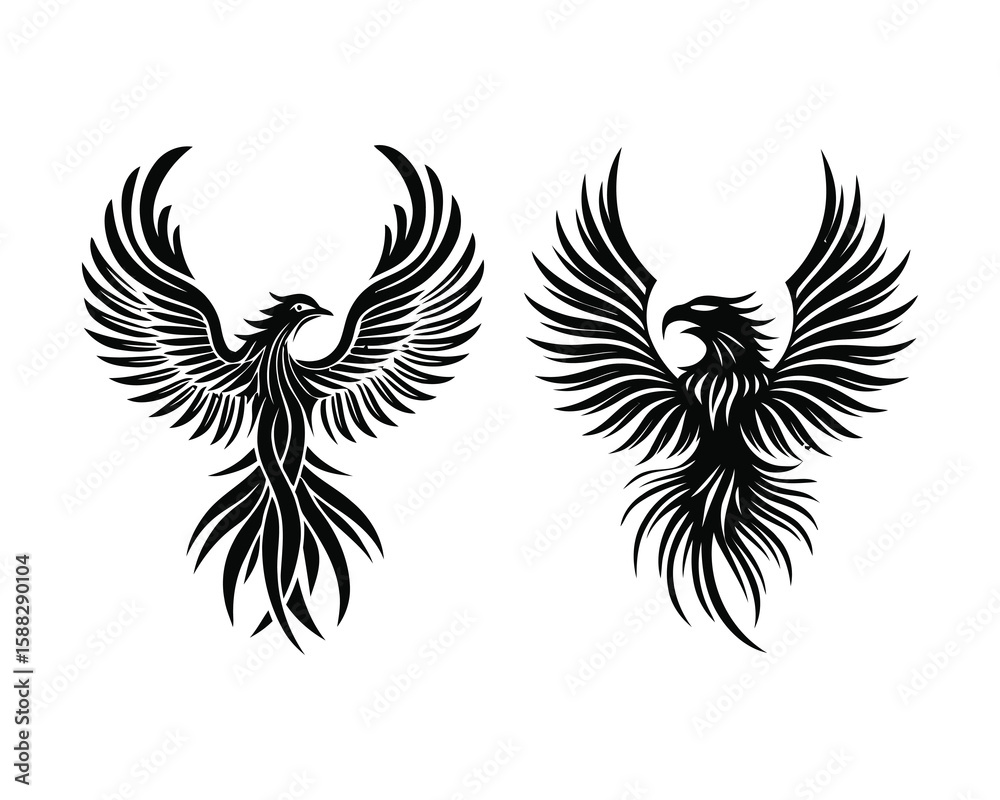 Obraz premium set of wings