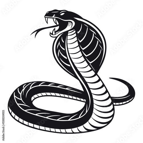 Fierce Cobra Snake Ready to Strike with Open Mouth and Forked Tongue