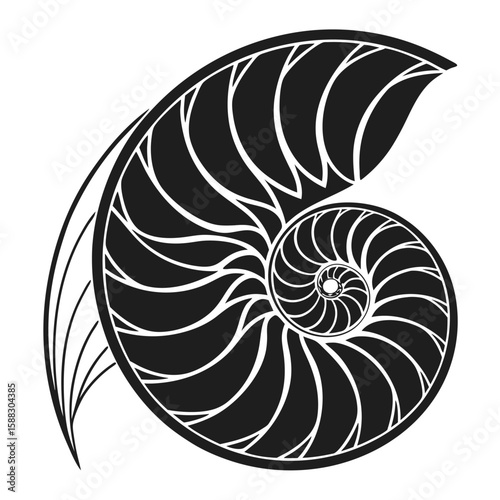 Abstract Spiral Nautilus Shell Pattern Elegant Monochrome Design