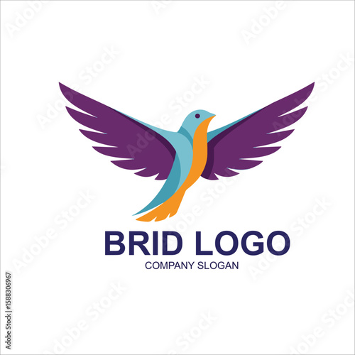 vector illustration of a bird