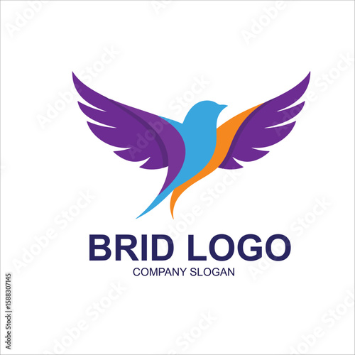 bird logo vector