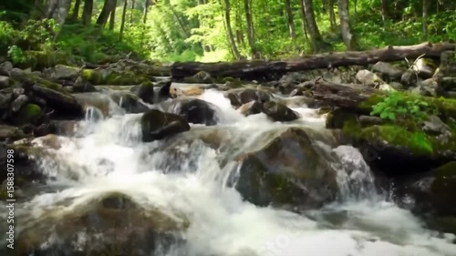 small waterfall in the forest