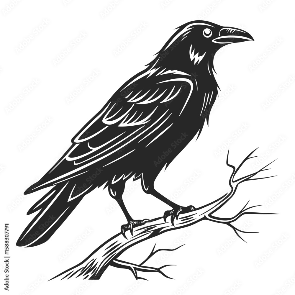 Fototapeta premium Majestic Black Raven Perched on a Bare Branch Illustrating Gothic Atmosphere