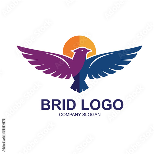 vector illustration of a bird
