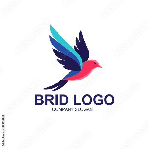 bird logo vector