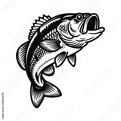 Black and white illustration of a leaping largemouth bass with open mouth