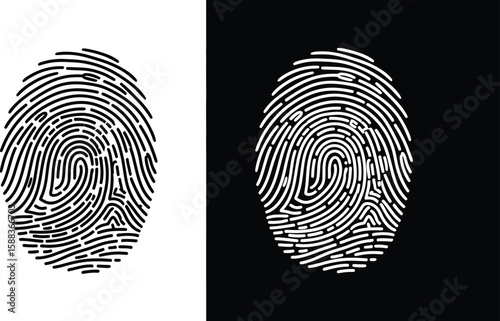 Detailed fingerprint biometric graphic with black and white backgrounds for security or identity concepts showing a unique pattern.