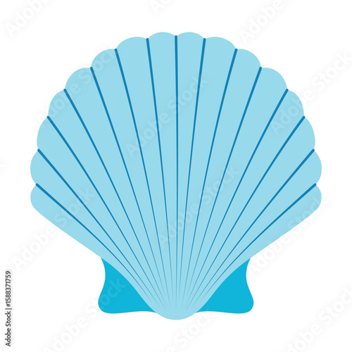 cartoon scallop shell, flat style
