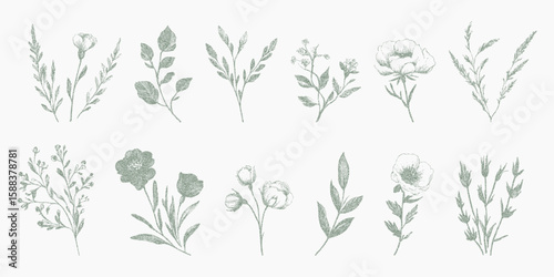 Set of different types of green leaves. Retro stipple drawing with halftone dots, noisy photocopy threshold lines, authentic vintage zine.