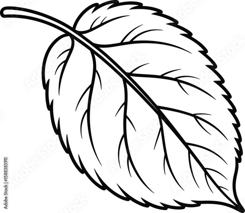 Hand Drawn Leaf Outline Vector Illustration