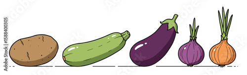Colorful vegetable collection illustration featuring potato, zucchini, eggplant, and onions on a transparent background